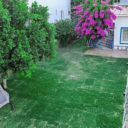 Yaliyani Restaurant 3* Irmene
